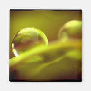 Aimant à goutte d'eau