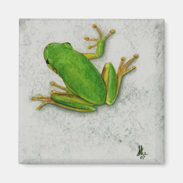 Aimant à grenouille verte (Devant)