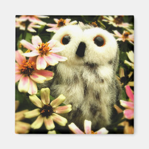 Aimant À La Recherche De Fées