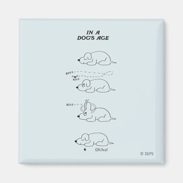 Aimant À l'âge d'un chien (Devant)