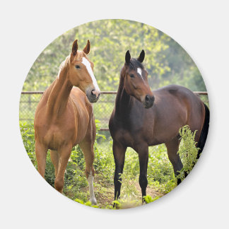 Aimant À l'attention