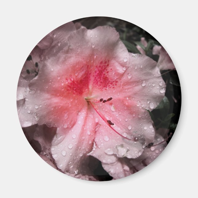 Aimant à lumière interne (Devant)