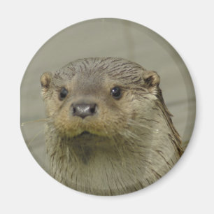 Aimant à Otter de la rivière Giant