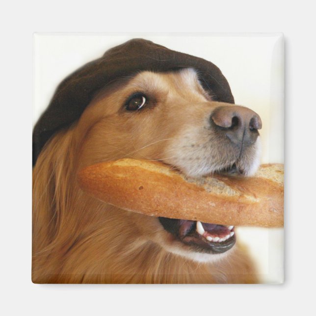 Aimant à pain français Golden Retriever (Devant)