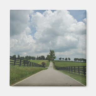 Aimant à pâturage bleu du Kentucky