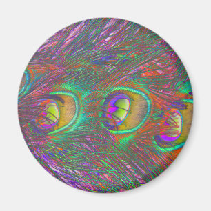 Aimant à plumes de paon de Noël