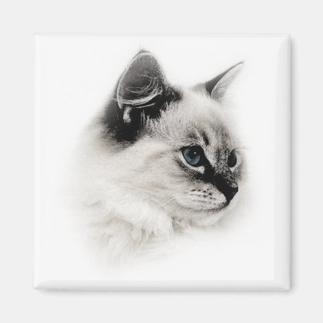 aimant à poupée (Devant)