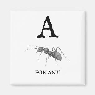 Aimant "A" pour Ant