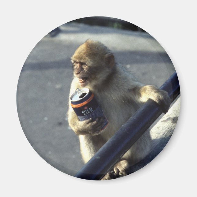 Aimant à problème de consommation de singe (Devant)