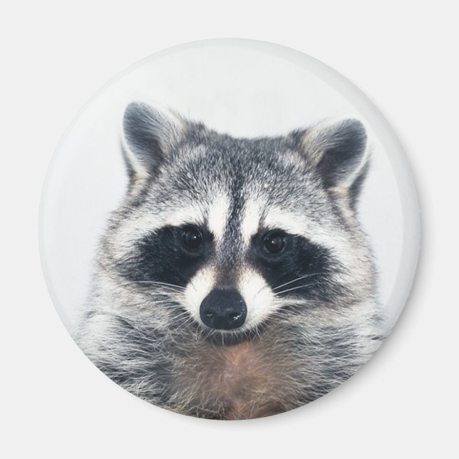 aimant à sucre (Devant)