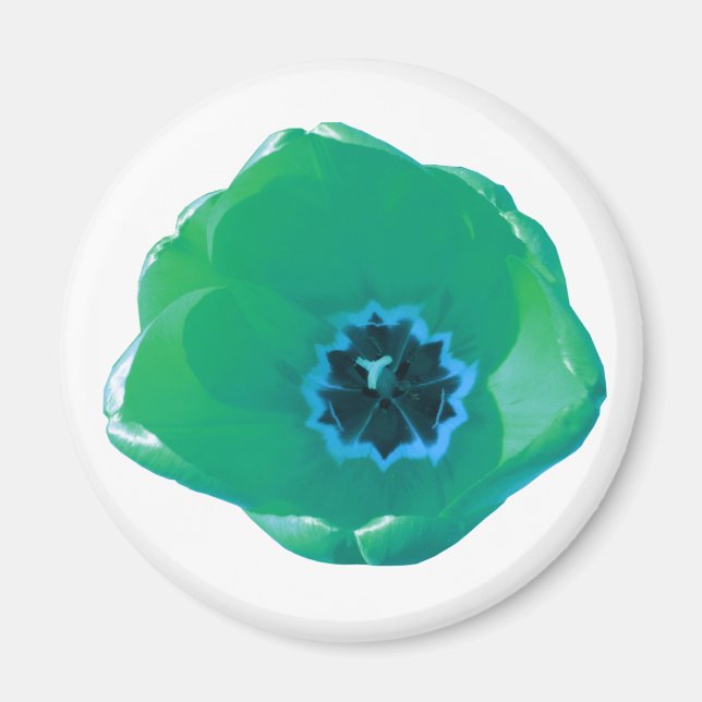 Aimant à tulipe verte et bleue (Devant)