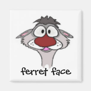 Aimant à visage furet