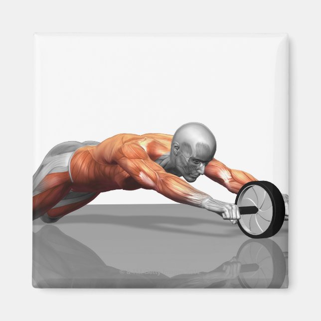Aimant Ab Wheel (Devant)