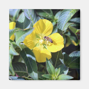 Aimant Abeille affairée