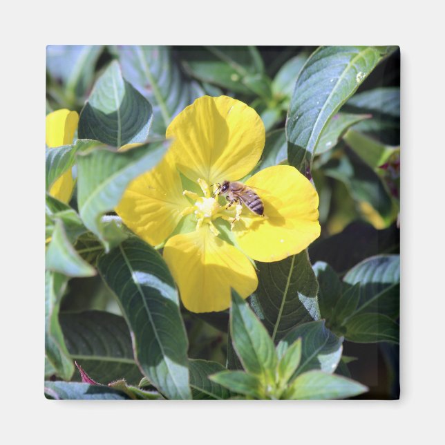 Aimant Abeille affairée (Devant)