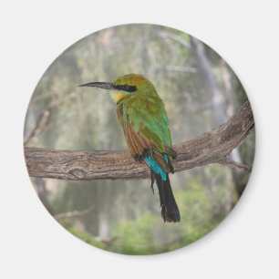 Aimant Abeille arc-en-ciel, Australie