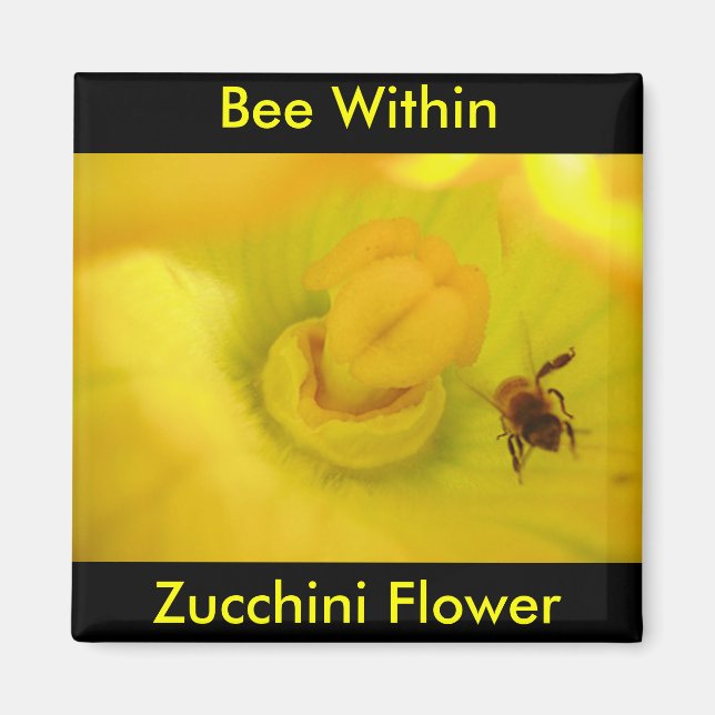 Aimant Abeille dans la fleur de courgette (Devant)
