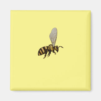 Aimant Abeille de bosse magnétique