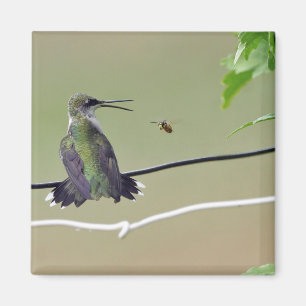 Aimant Abeille de colibri et de miel
