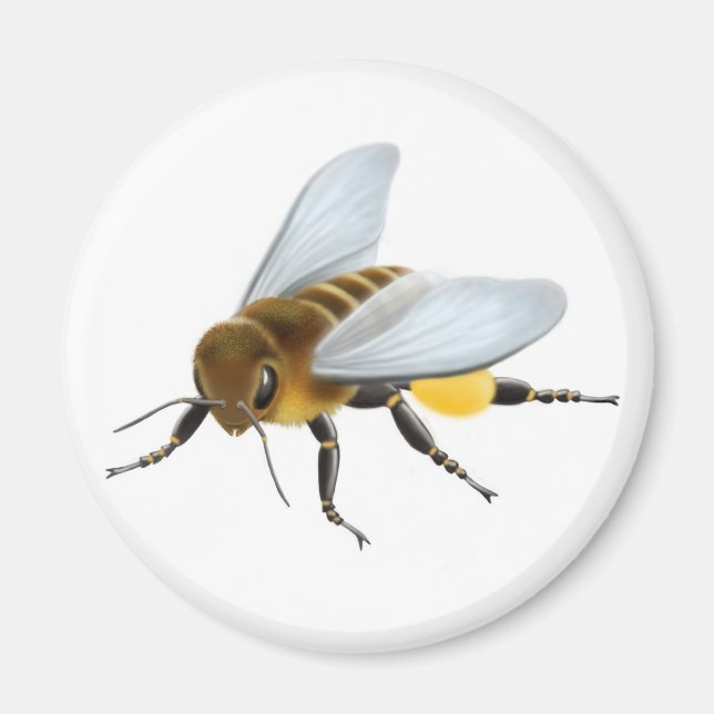 Aimant Abeille de miel (Devant)