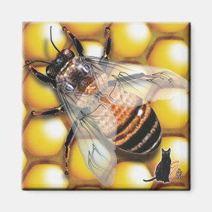 Aimant Abeille de miel
