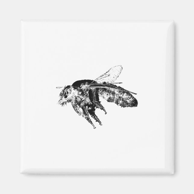 Aimant Abeille d'insectes noir (Devant)