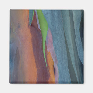 Aimant Abstract de Rainbow Gum Tree