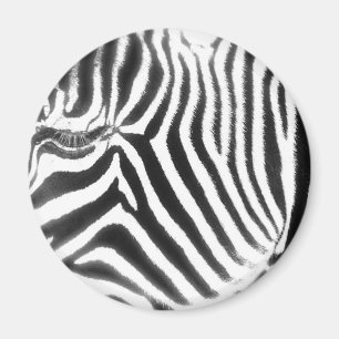 Aimant abstrait de zèbre