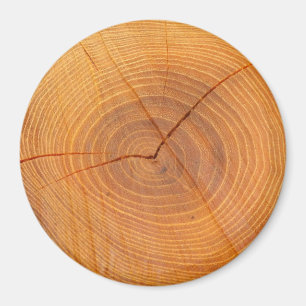 Aimant Acacia Arbre Section large Magnat rond