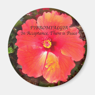 Aimant Acceptation Fibro