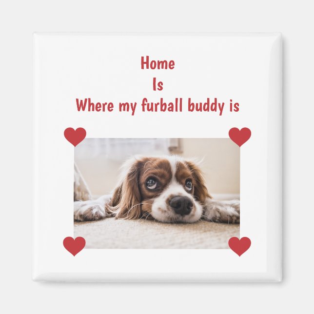 Aimant Accueil Furball Buddy Chien Personnalisé Coeurs Ph (Devant)
