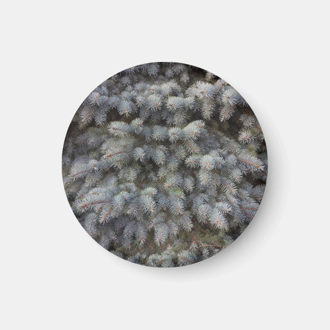 Aimant Acier, gris, vert et bleu épicéa bouton classe (Devant)