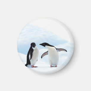 Aimant Adelie Penguins