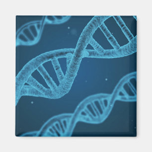 Aimant ADN double hélix