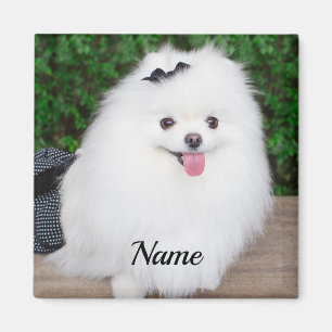 Aimant Adorable Fluffy White Chien Chien Chien