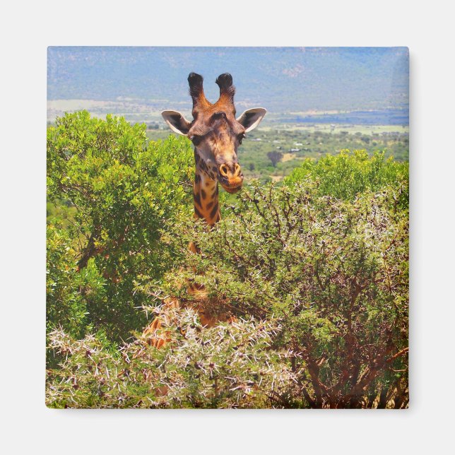 Aimant Adorable Giraffe Poking His Head Above The Trees (Devant)