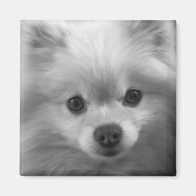 Aimant Adorably Cute (Devant)