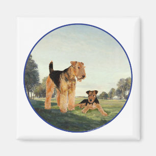 Aimant Adult et pup