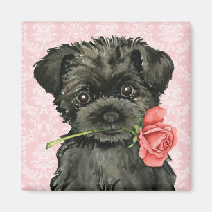 Aimant Affenpinscher rose de Valentine