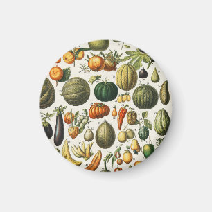 Aimant Affiches de fruits botaniques vintage françaises