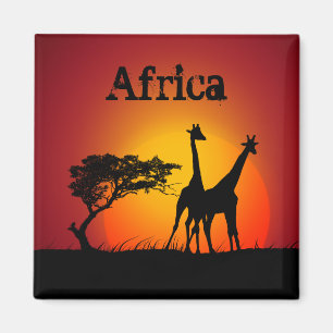 Aimant africain