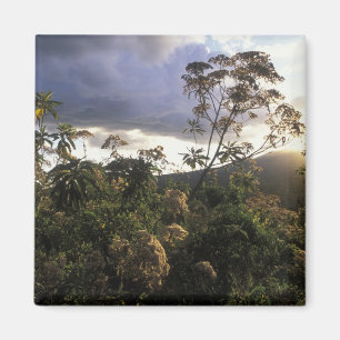 Aimant Afrique, Tanzanie, zone de conservation du Ngorong