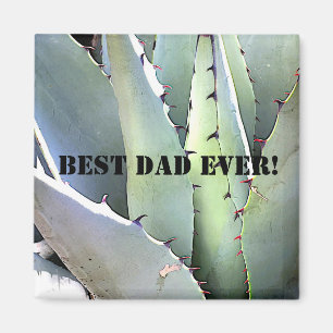 Aimant Agave Plante Succulent Bleu Cactus Tequila Désert