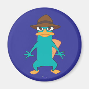 Aimant Agent P Pose
