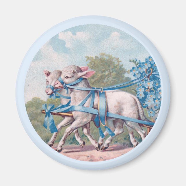 Aimant Agneaux vintages habillés de rubans bleus fantaisi (Devant)