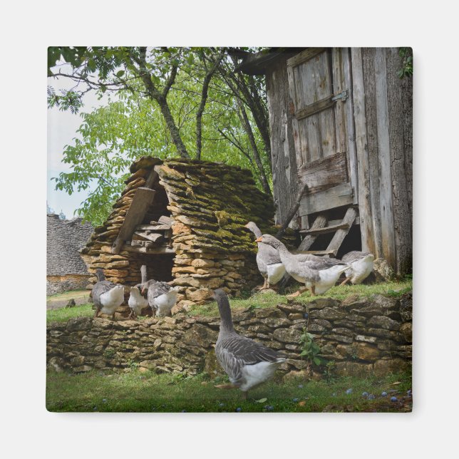 Aimant agricole traditionnel d'oie de foie gras (Devant)