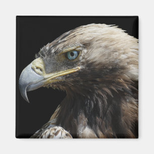 Aimant Aigle