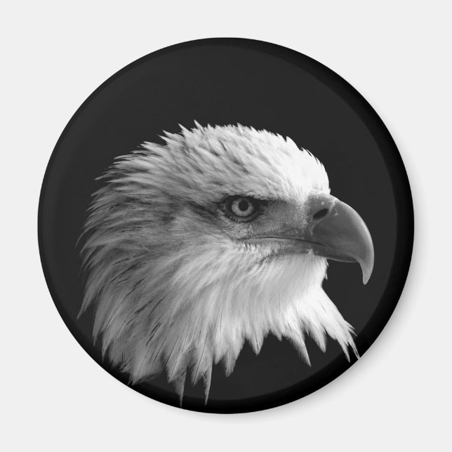 Aimant Aigle (Devant)