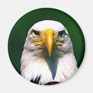 Aimant aigle