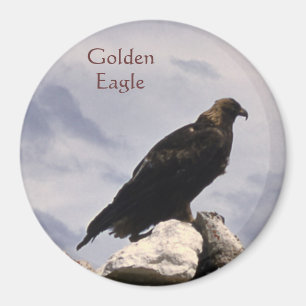 Aimant Aigle d'or